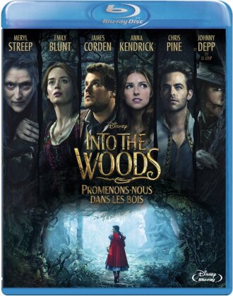 Into the Woods - Promenons-nous dans les bois (2014)