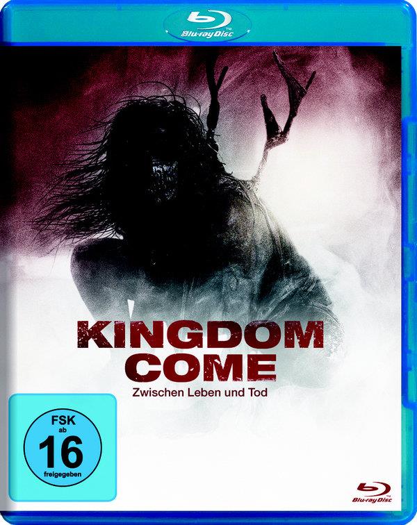 Kingdom Come - Zwischen Leben und Tod (2014)