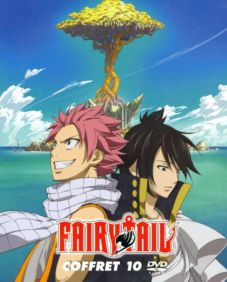 Fairy Tail - Saison 3 - Vol. 11-15 Coffret Collector