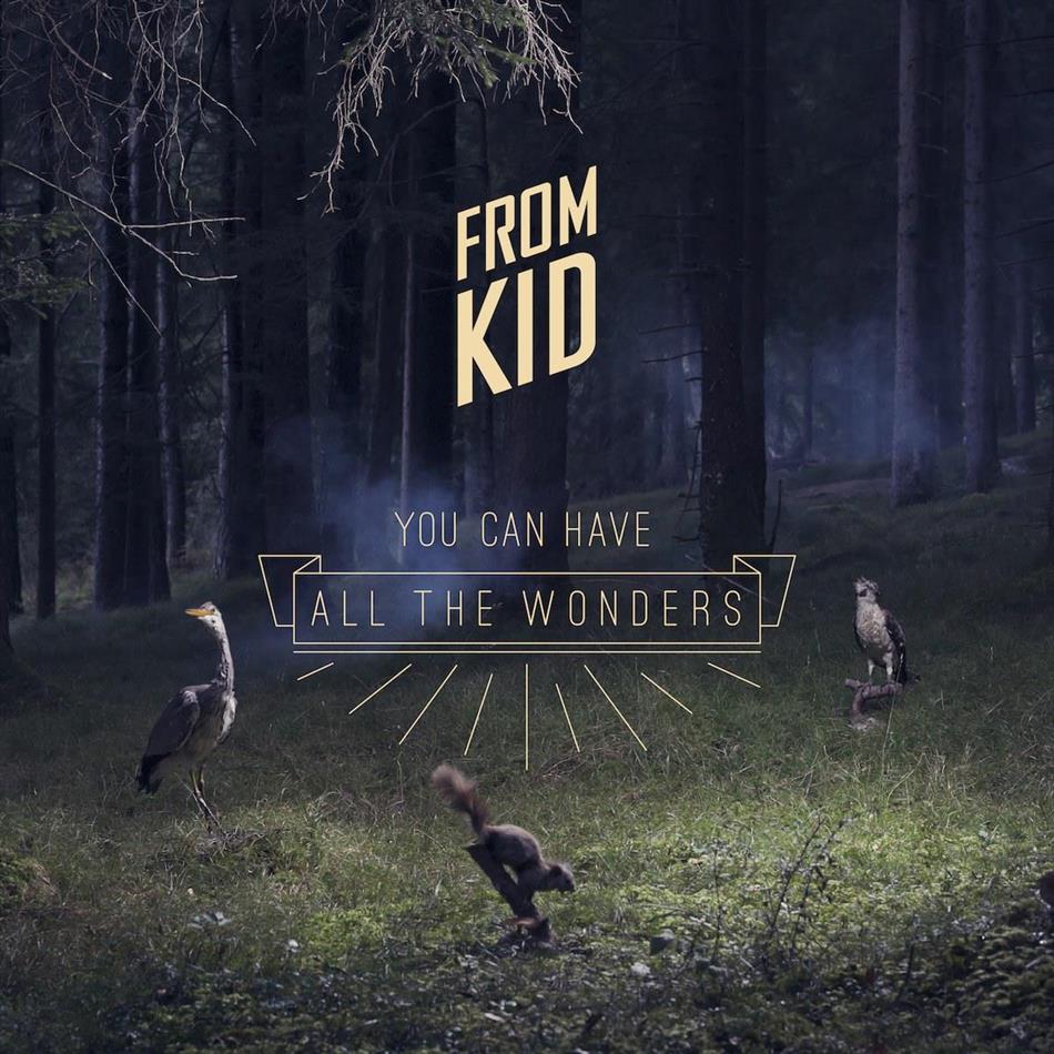 From Kid - You Can Have All The Wonders 2 LPs