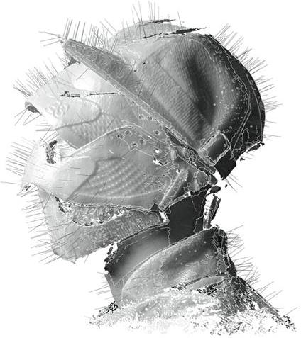 Woodkid - Golden Age 2015 Version, LP