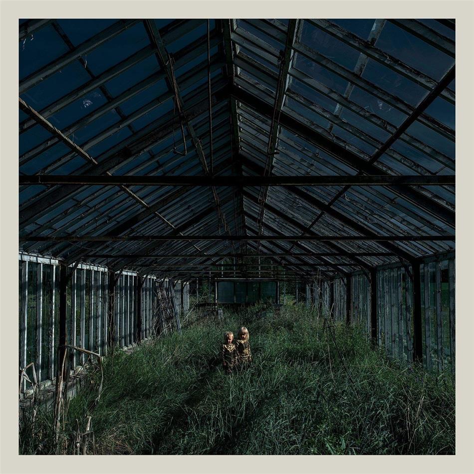 Foxing - Dealer Colored, LP