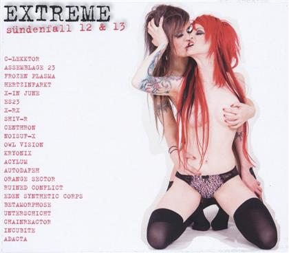 Extreme S&uuml;ndenfall - Various 12 & 13 (4 CDs)