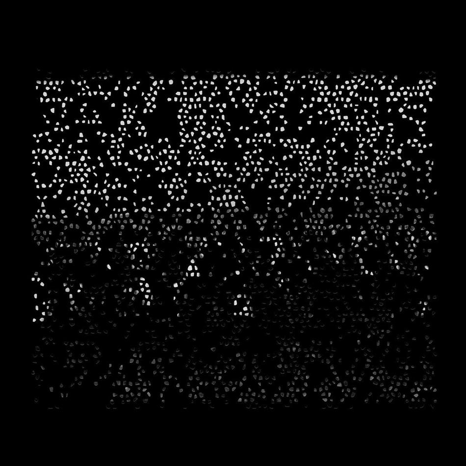 Jóhann Jóhannsson, Hildur Gudnadottir, Robert Aiki & Aubrey Lowe - End Of Summer CD + DVD
