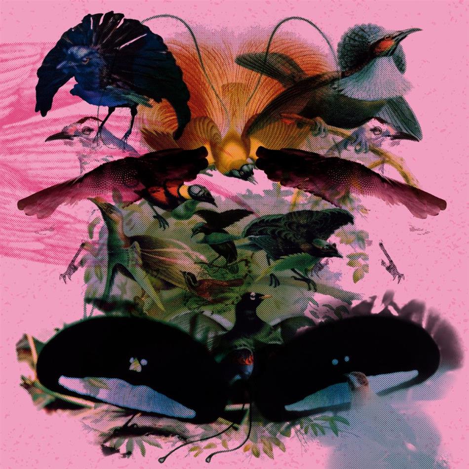 Leon Vynehall - Rojus / Designed To Dance 2 12" Maxis