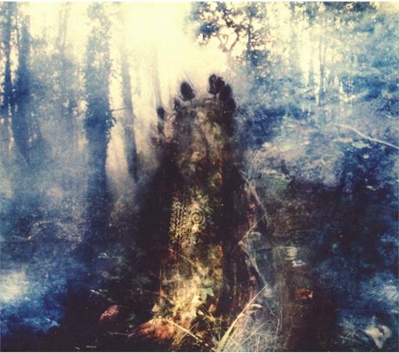 Sylvaine - Wistful