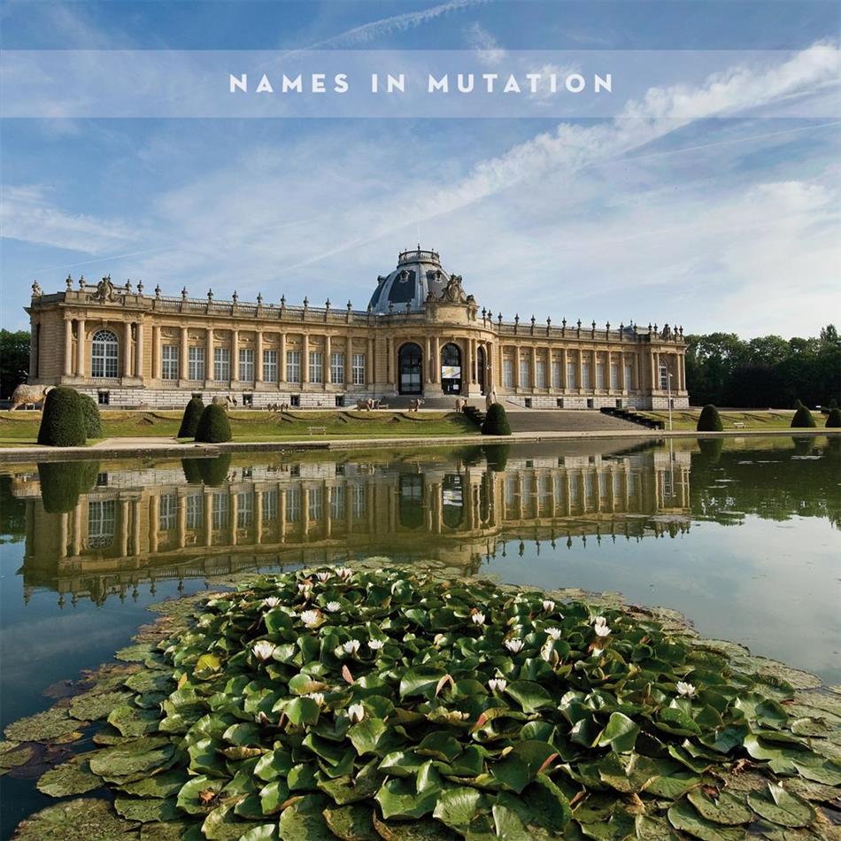 The Names - Names In Mutation