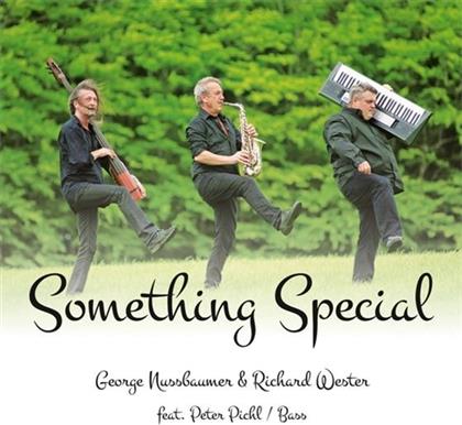 George Nussbaum, Richard Wester feat. Peter Pichl - Something Special
