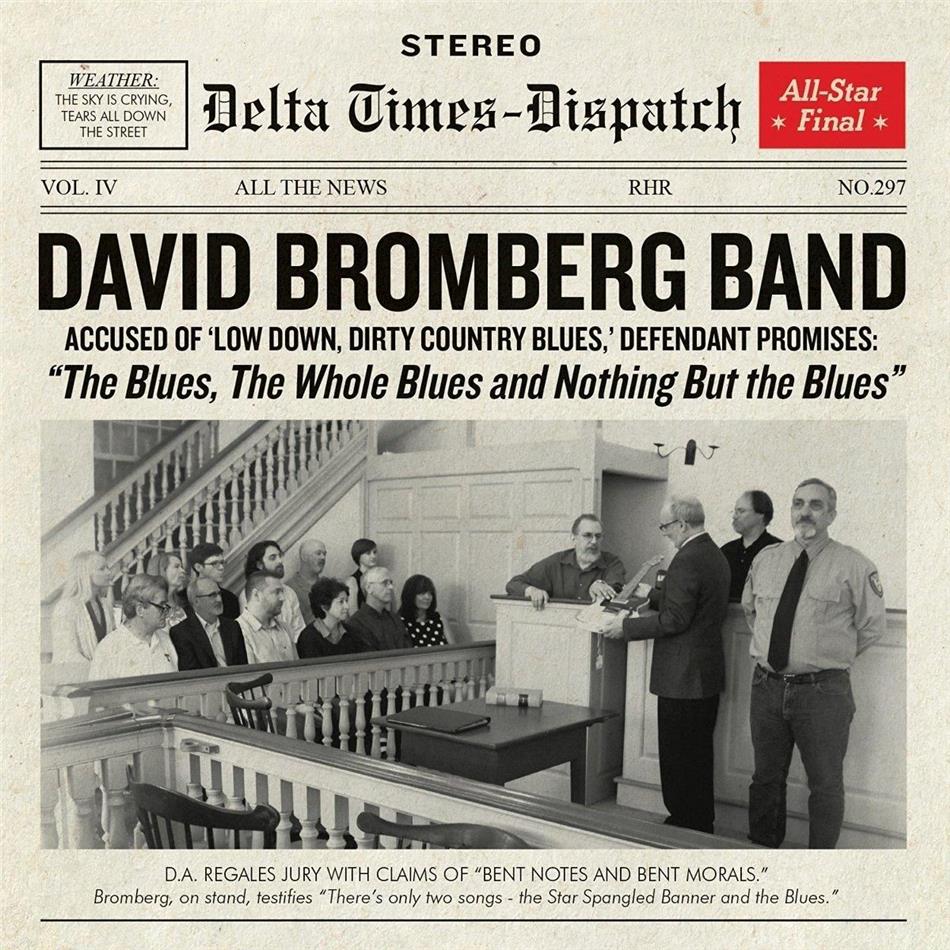 David Bromberg - The Blues, The Whole Blues And Nothing But The Blues LP