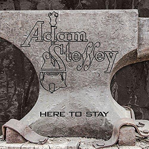Adam Steffey - Here To Stay