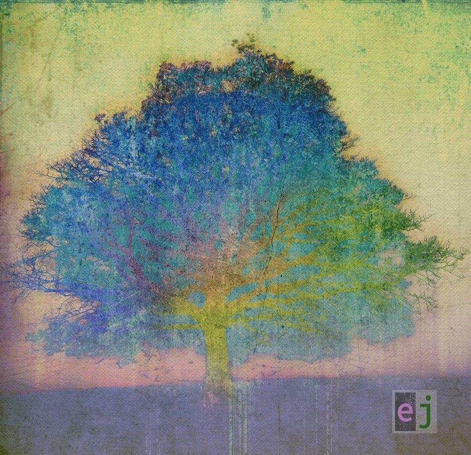 Eric Johnson - Ej