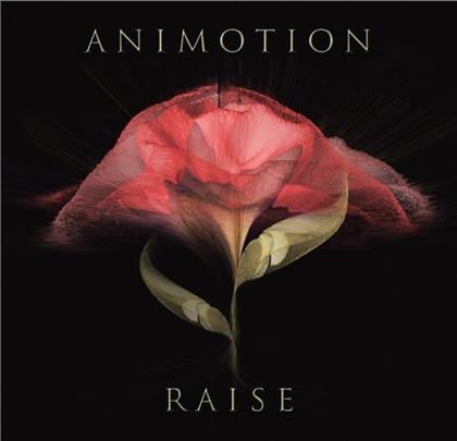 Animotion - Raise Your Expectations