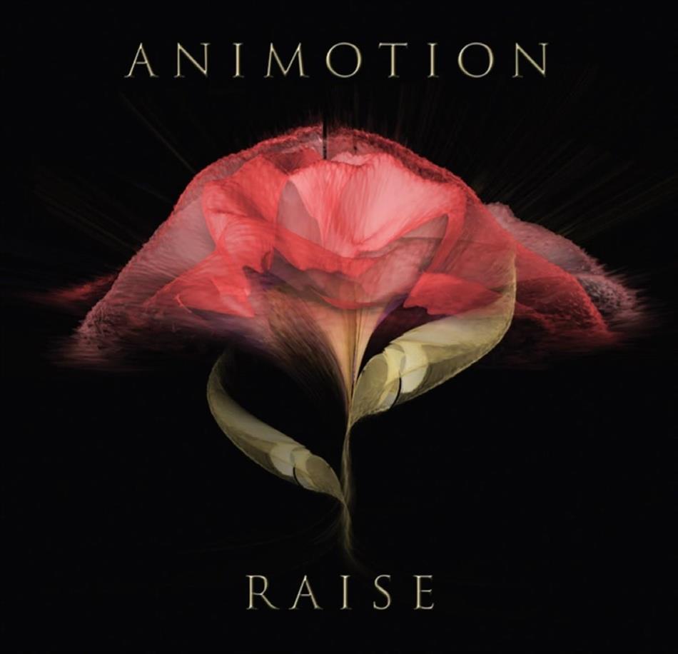 Animotion - Raise Your Expectations LP