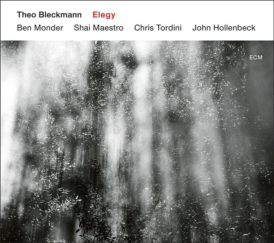 Theo Bleckmann - Elegy