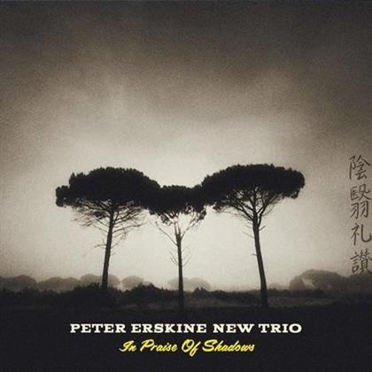 Peter Erskine - In Praise Of Shadows
