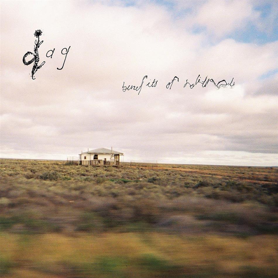 Dag - Benefits Of Solitude LP