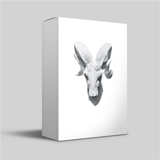Xen, Eaz & Liba - Physical Shock - Premium Box incl. T-Shirt Size L & Stickers