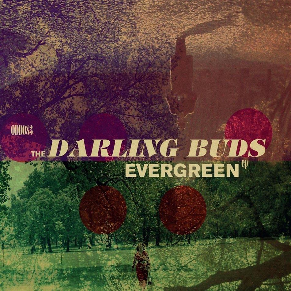 Darling Buds - Evergreen 12" Maxi