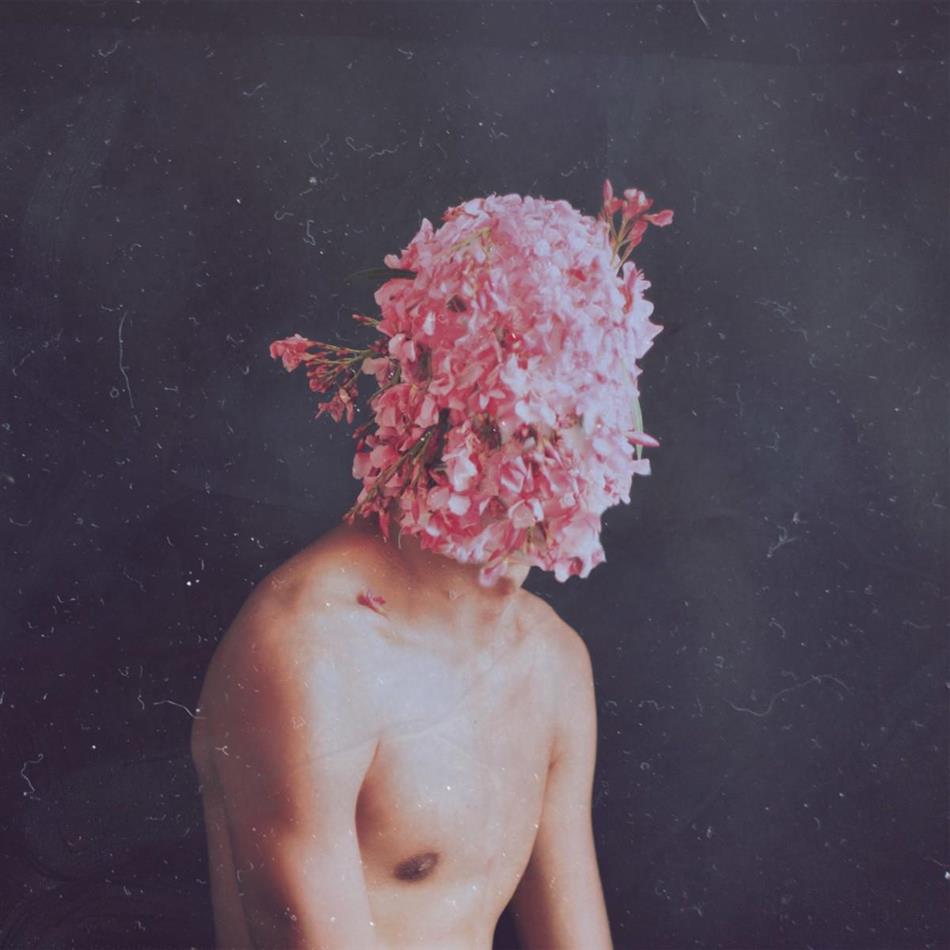 Lake People - Phase Transition LP