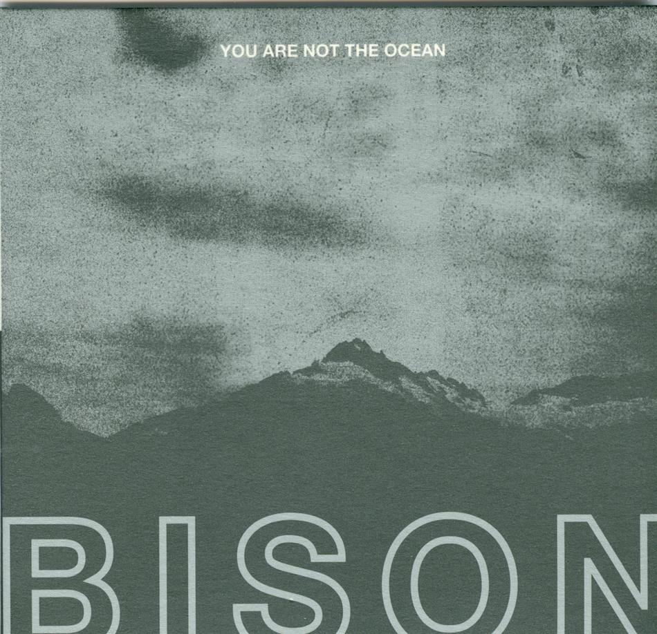 Bison - You Are Not The Ocean You Are The Patient