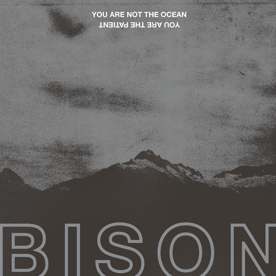 Bison - You Are Not The Ocean You Are The Patient LP