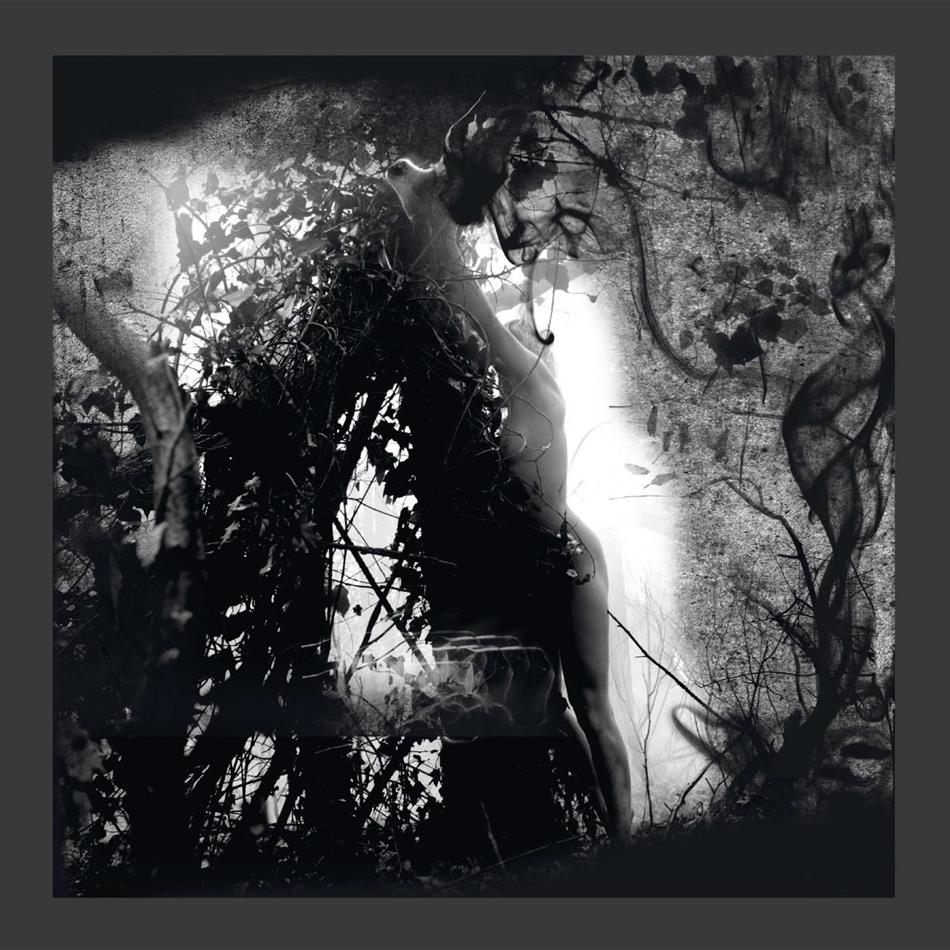 Pisetzky - Tears Of A Rough Machine 2 LPs