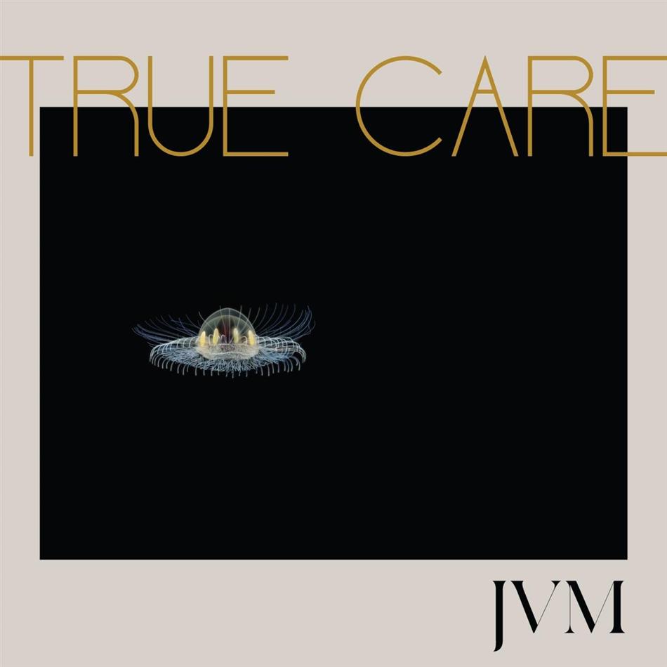 James Vincent McMorrow - True Care 2 LPs