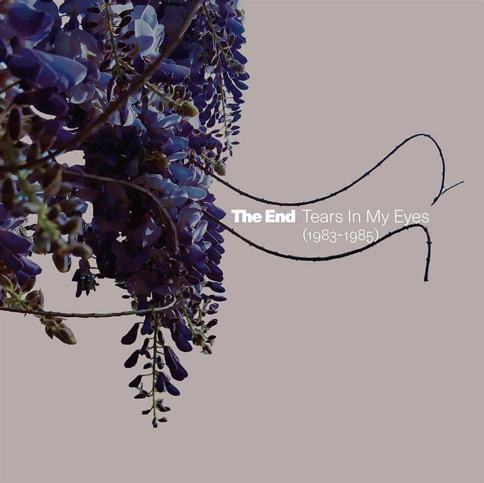 The End - Tears In My Eyes 1983 - 1985