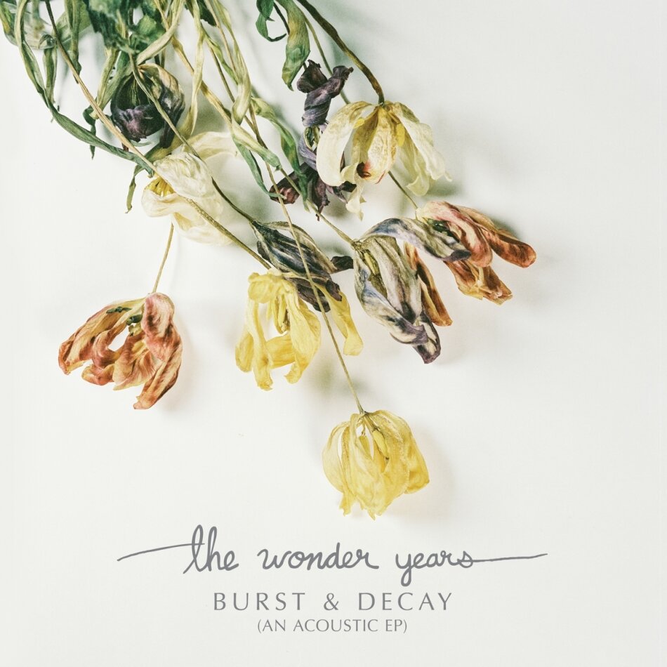 The Wonder Years - Burst & Decay - Opaque Purple Vinyl Colored, LP