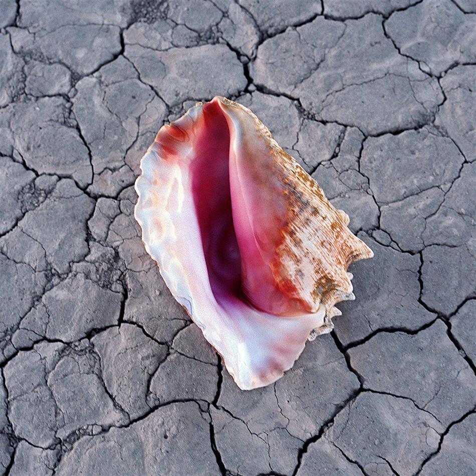 The Killers - Wonderful Wonderful - Deluxe Softpack 13 Tracks