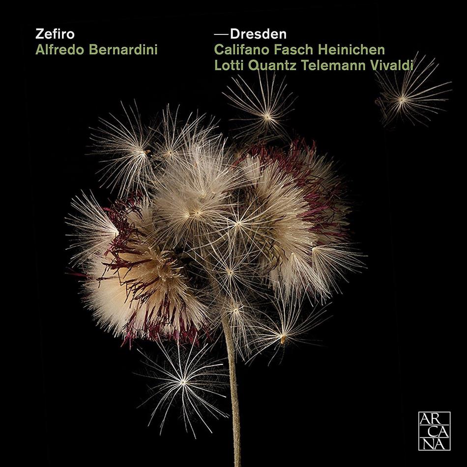 Zefiro - Dresden