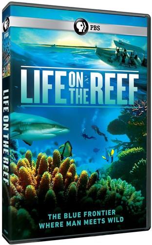 Life on the Reef