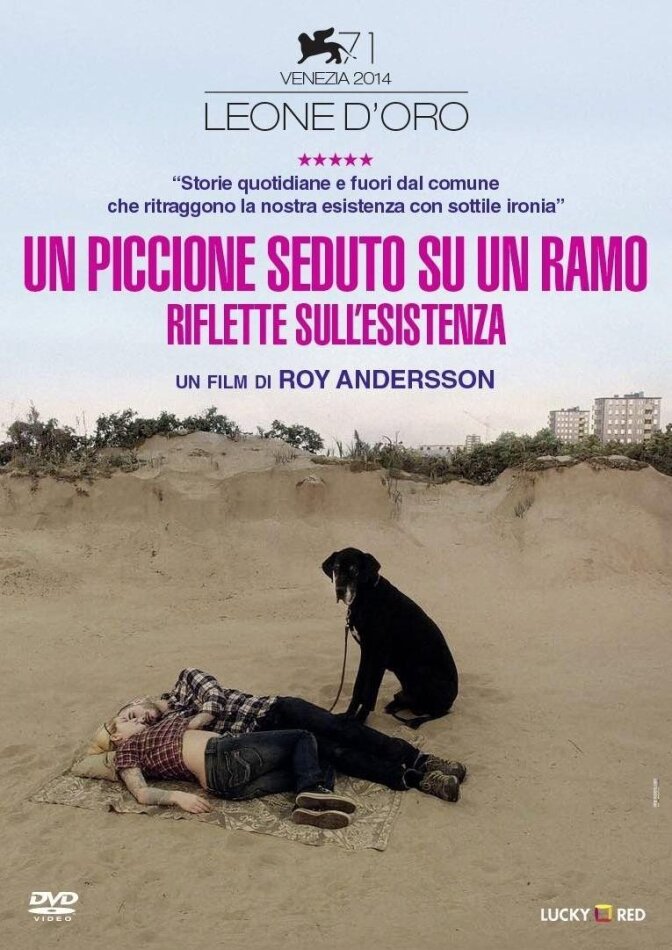Un piccione seduto su un ramo riflette sull'esistenza (2014)