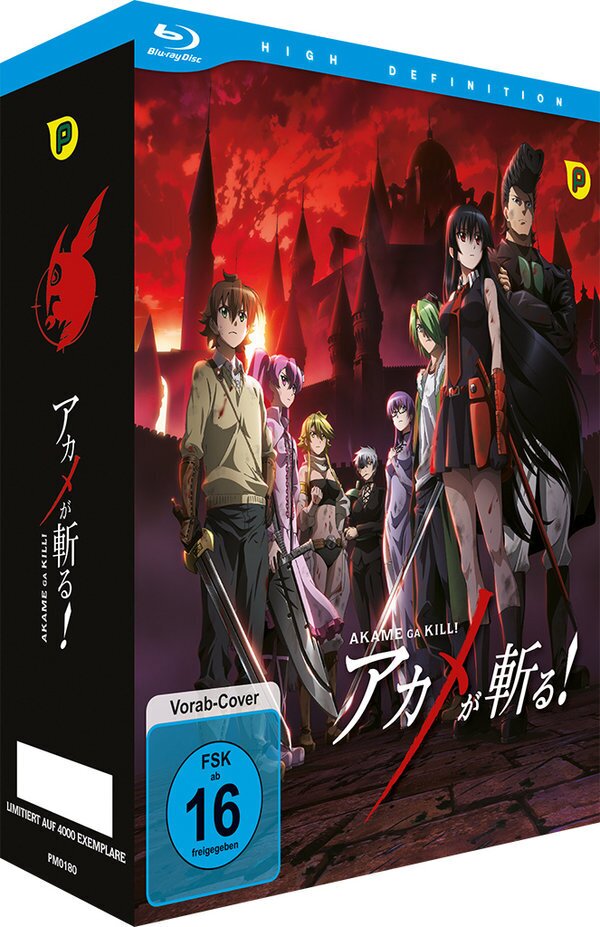 Akame ga Kill! - Staffel 1 - Vol. 1 + Sammelschuber, Limited Edition