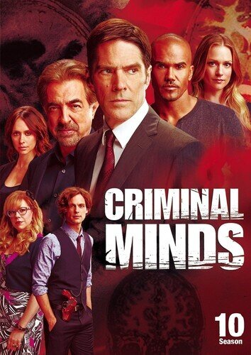 Criminal Minds - Season 10 6 DVD