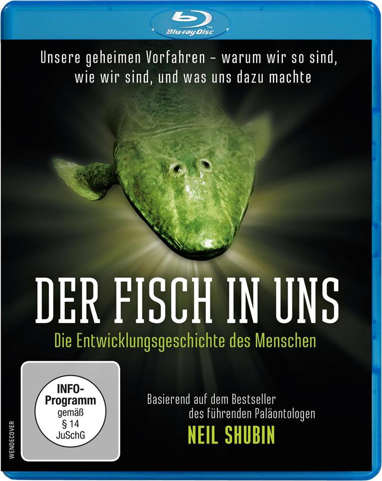 Der Fisch in uns - Die Entwicklungsgeschichte des Menschen
