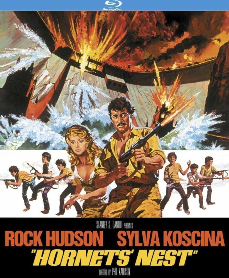Hornets' Nest (1970)