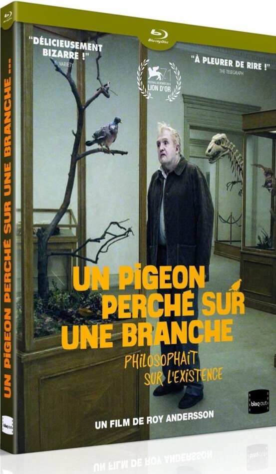 Un pigeon perché sur une branche... (2014)