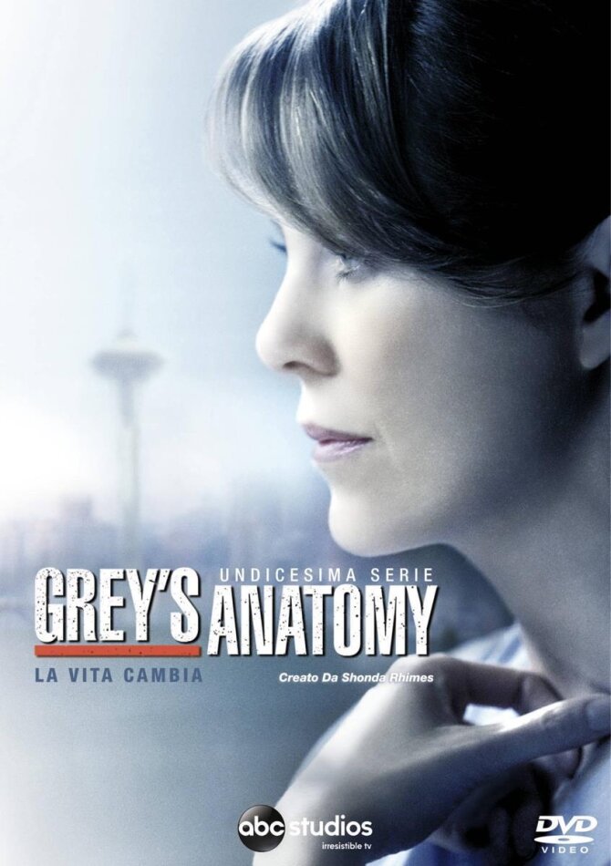 Grey's Anatomy - Stagione 11 6 DVD