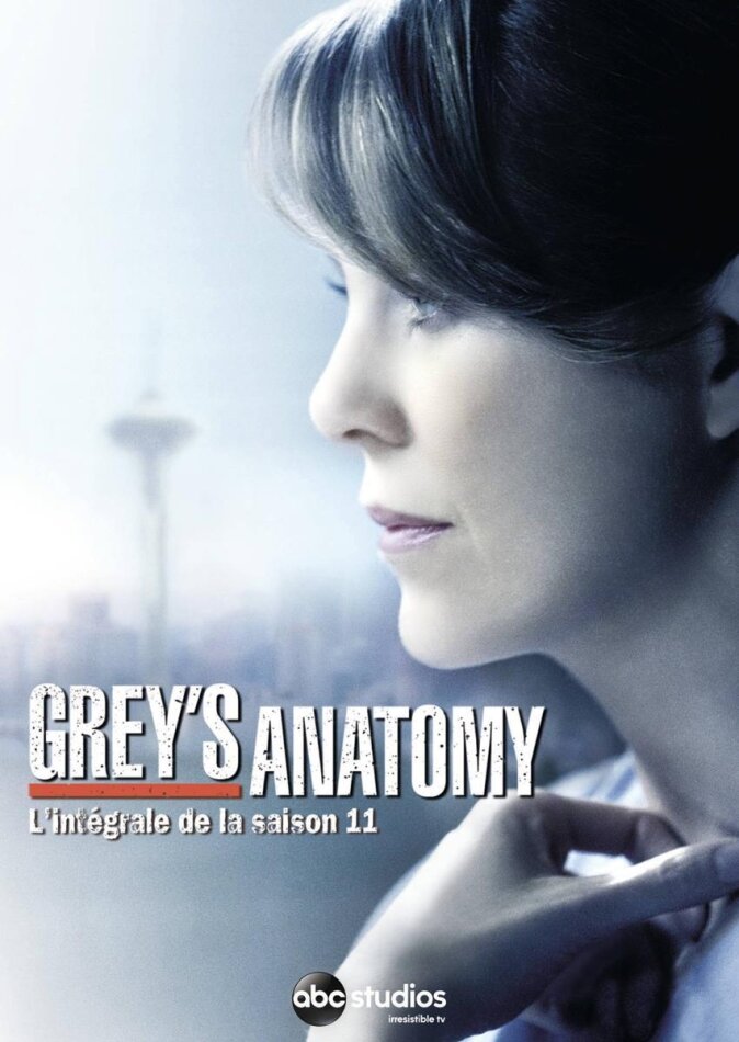Grey's Anatomy - Saison 11 6 DVD