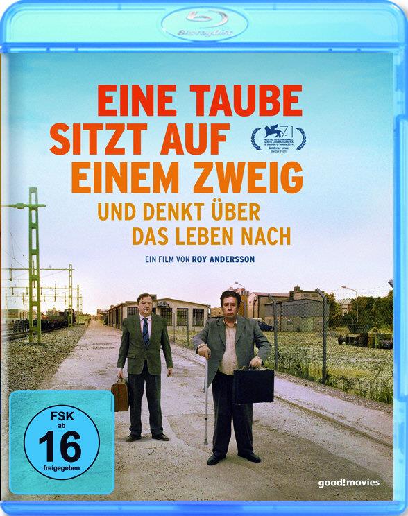 Eine Taube sitzt auf einem Zweig und denkt über das Leben nach (2014)