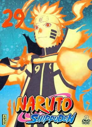 Naruto Shippuden - Vol. 29 (3 DVD)