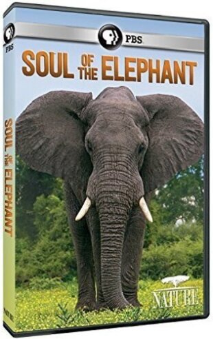 Nature - Soul of the Elephant
