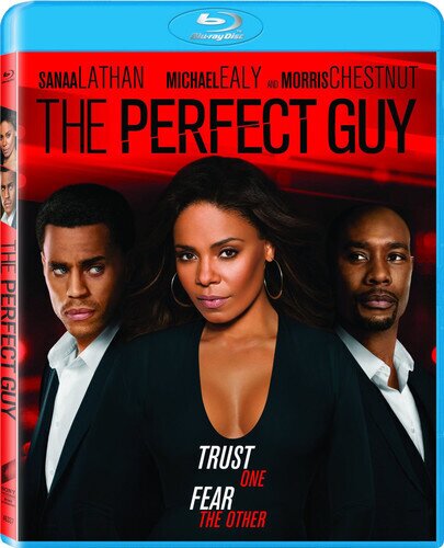 The Perfect Guy (2015)