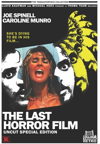 The Last Horror Film (1982)