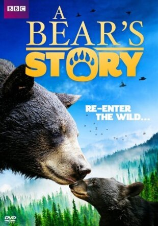 Bear Story - Spirit's Adventure