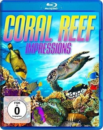 Korallenriff - Expedition