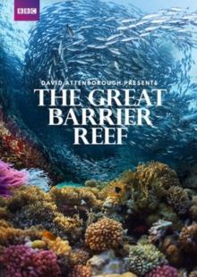 Great Barrier Reef - With David Attenborough 3 DVD
