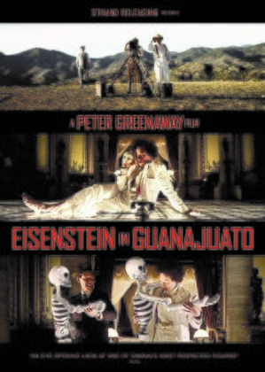 Eisenstein In Guanajuato (2015) (Widescreen)