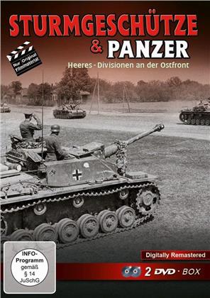 Sturmgeschütze & Panzer - Heeres-Divisionen an der Ostfront (Remastered, 2 DVDs)